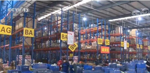 一季度電子商務發展勢頭迅猛，農村電商與技術服務雙翼齊飛