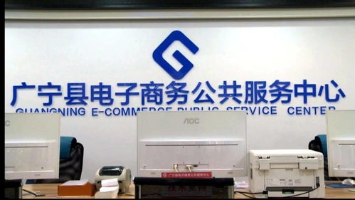 完善服務(wù)體系，技術(shù)賦能電商 我縣電子商務(wù)發(fā)展的新篇章